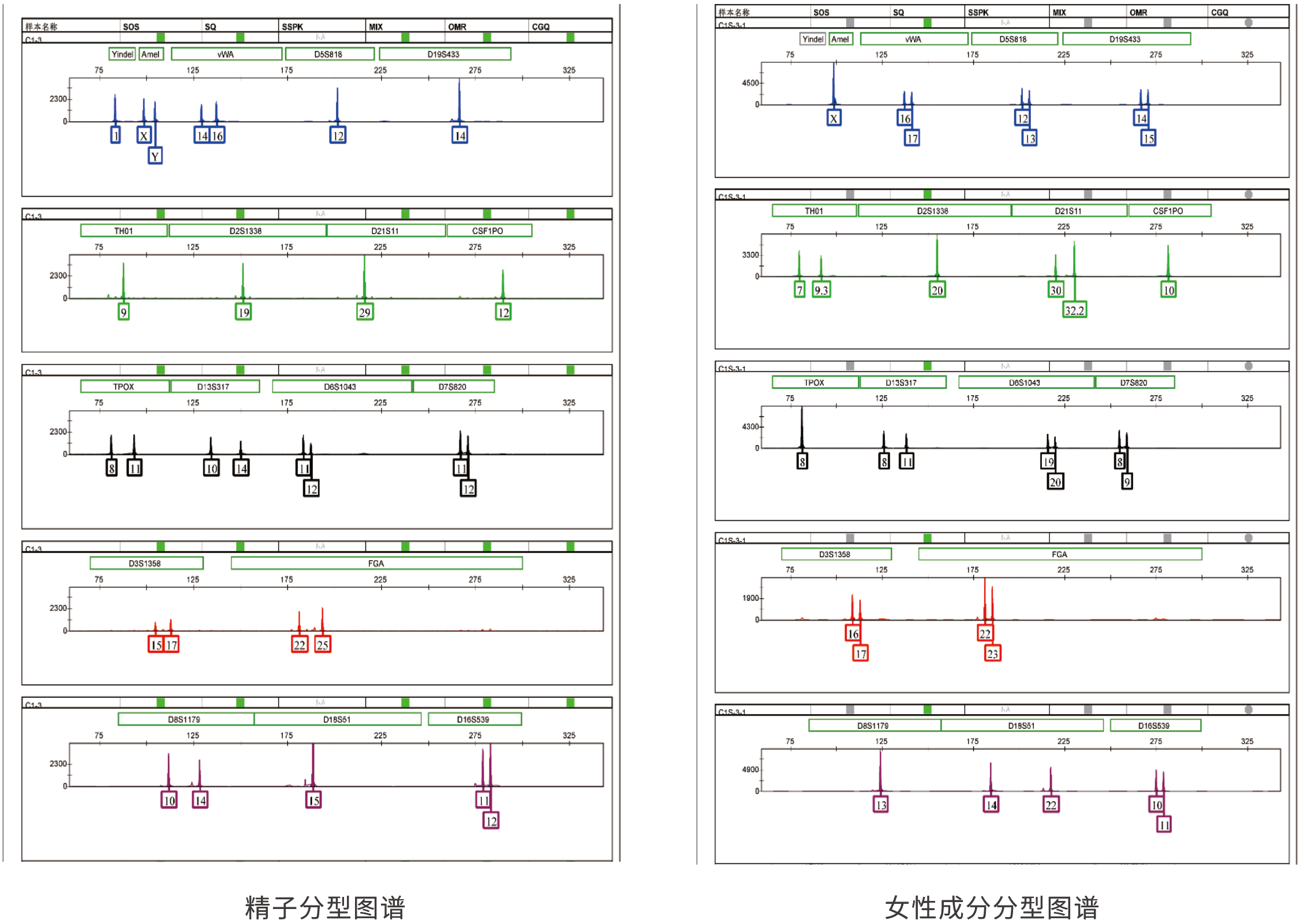 精斑差异化提取试剂盒 精斑差异化提取试剂盒